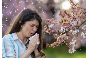 Exploring climate change's impact on allergies