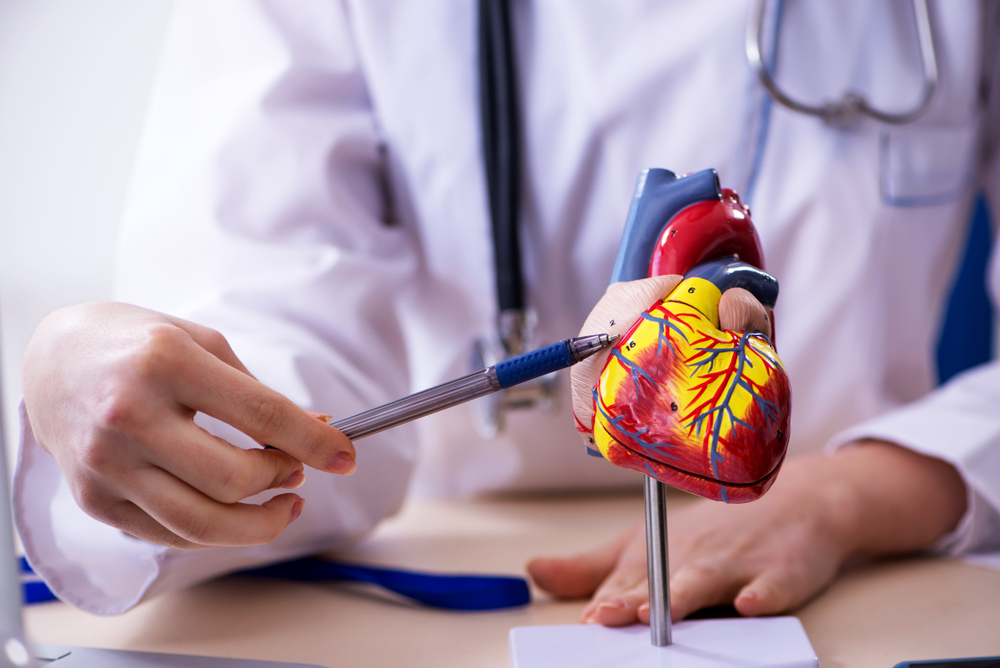 Heart disease explained: Signs, symptoms, and how to reduce your risk