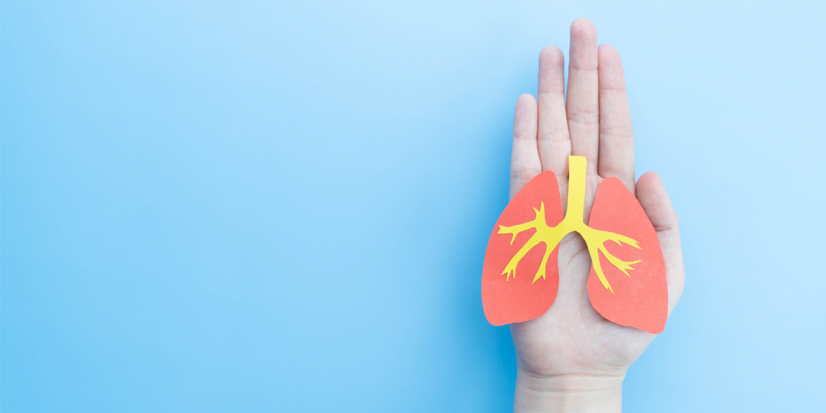 How do Asthma and COPD inhalers affect the lungs?