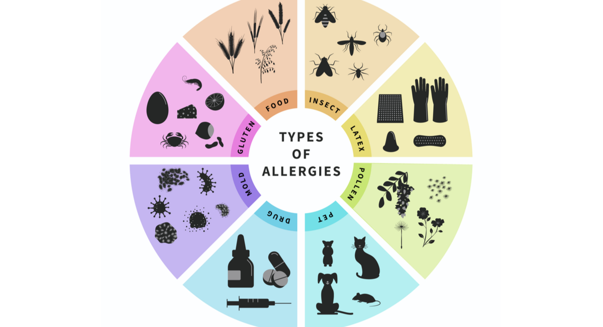 What Are the Different Types of Allergies?