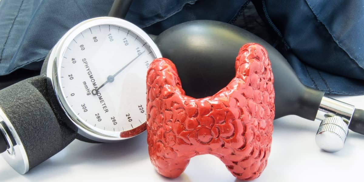 Exploring how your thyroid affects your lifespan